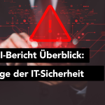 Die Lage der IT-Sicherheit in Deutschland: Zusammenfassung